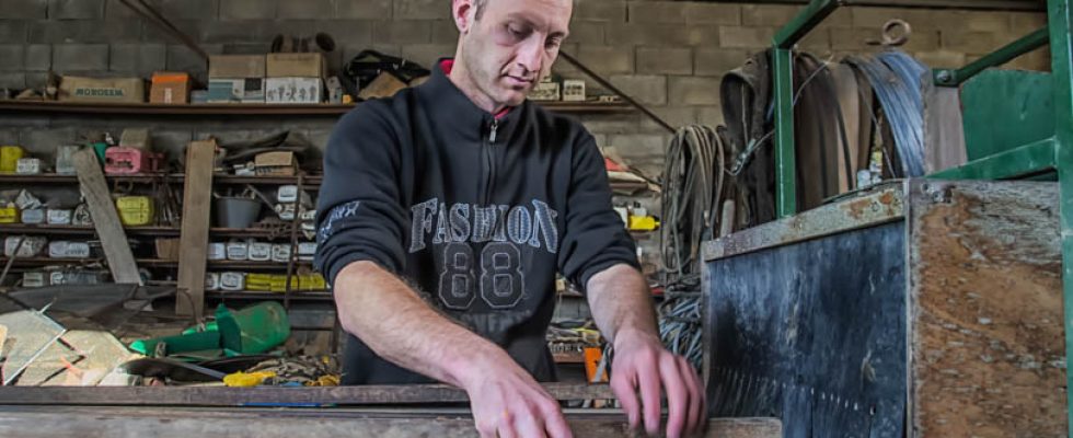 quelques photos de mon travail avec sept fermes de producteur 